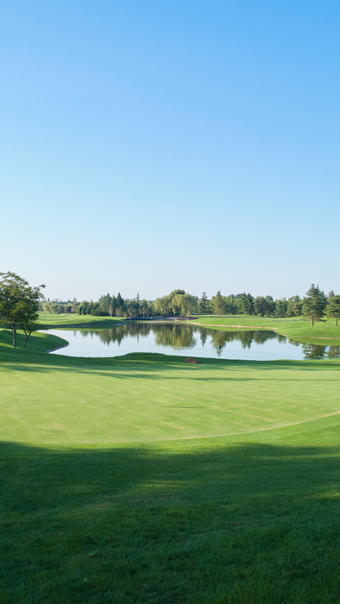 Golf course screenshot