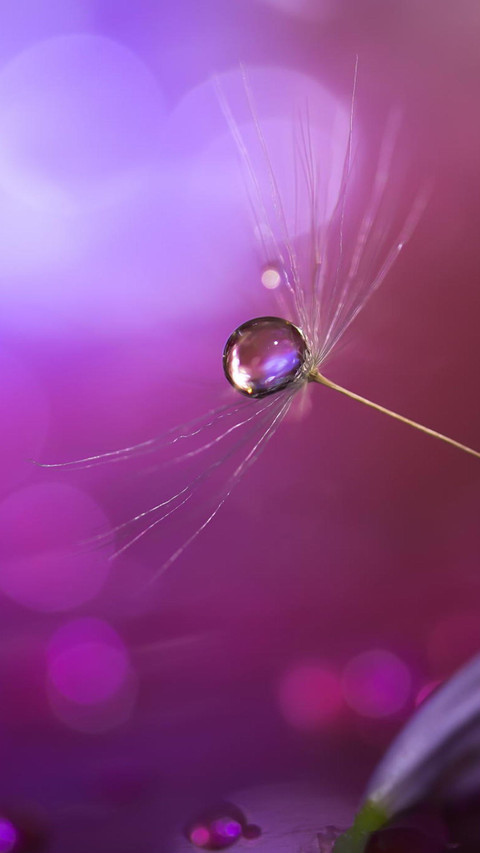 raindrops (4) screenshot