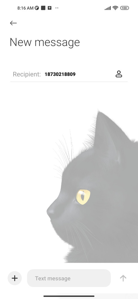 Black Cat screenshot