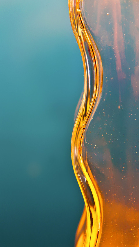 Macro photography skills 42 screenshot