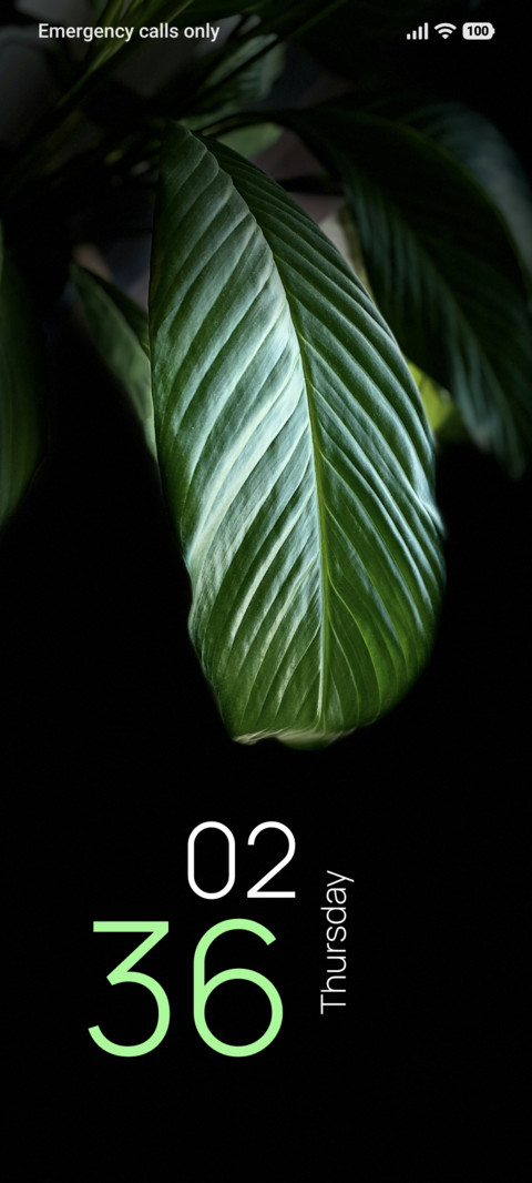 Forest Contrast screenshot