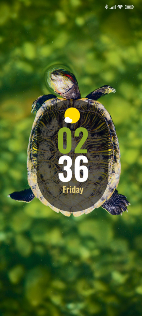 Brown Turtle screenshot