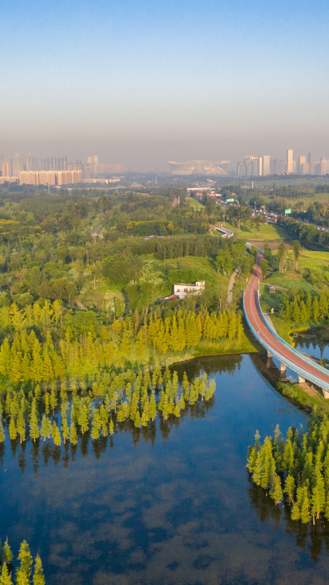 The morning light of bailuwan wetland is fleeting screenshot