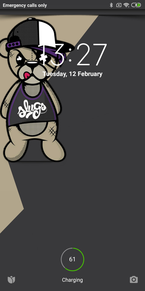 Bear screenshot