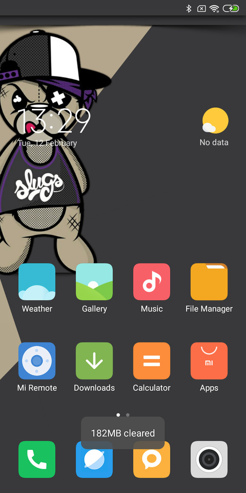 Bear screenshot