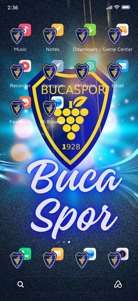 BUCA SPOR screenshot