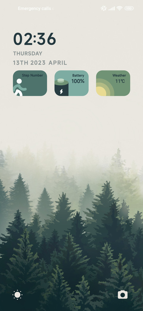 Foggy forest screenshot