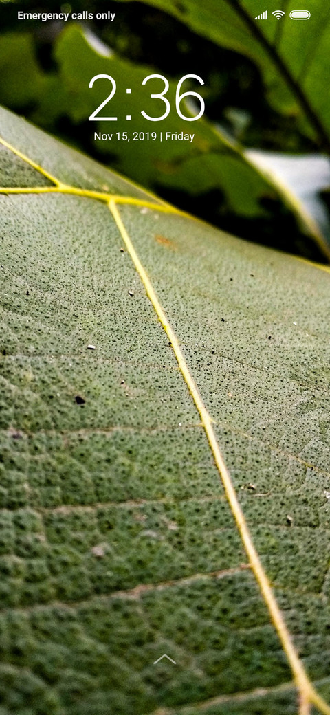 Forest leaf_DWM3 screenshot