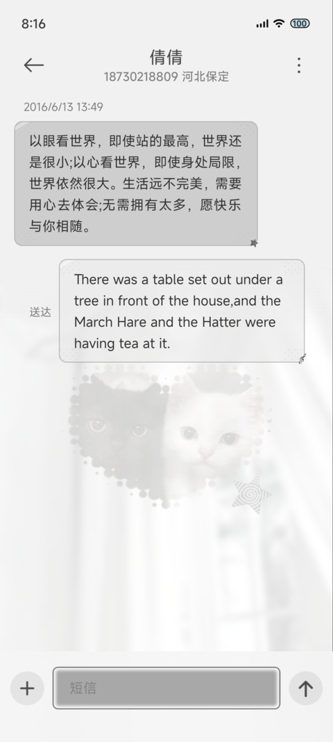 韩系拍立得波点小猫 screenshot