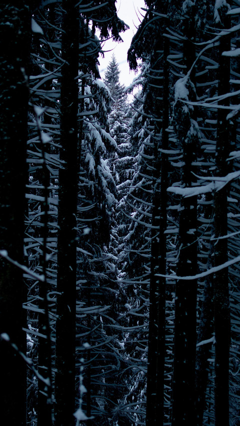 133879_1440x2560.jpg screenshot