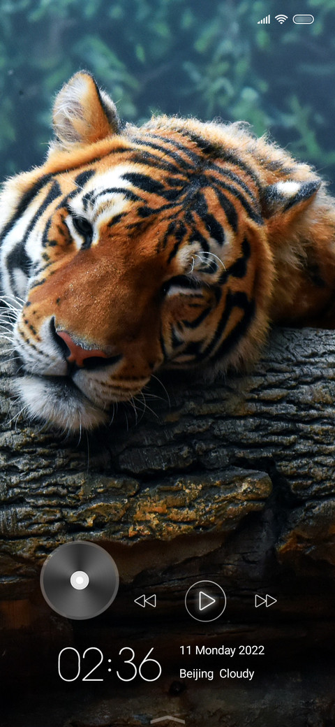 Wildlife fourteen screenshot