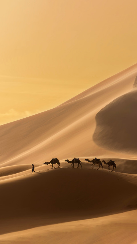 Caravan of Camels in the Sahara Desert screenshot