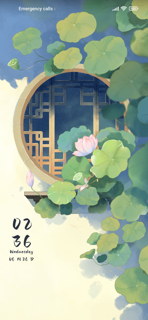 Window lotus screenshot