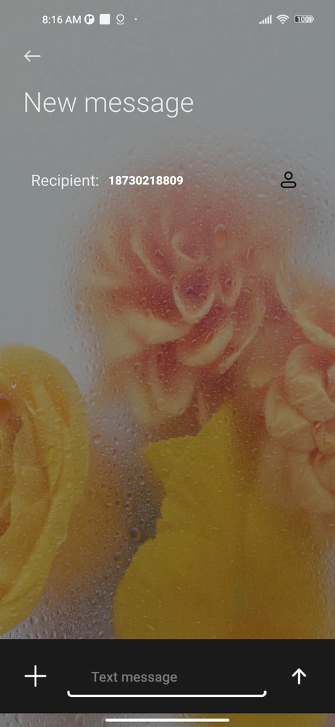  yellow roses screenshot