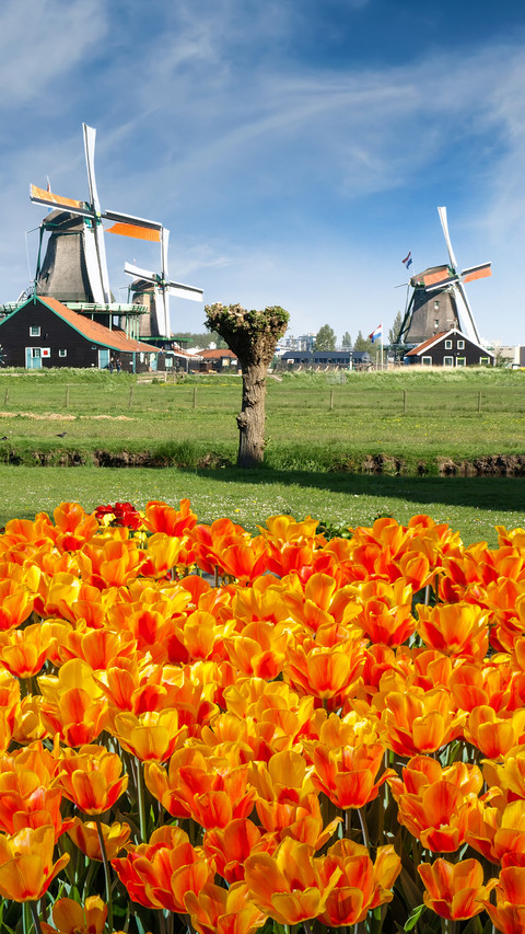 Windmill screenshot
