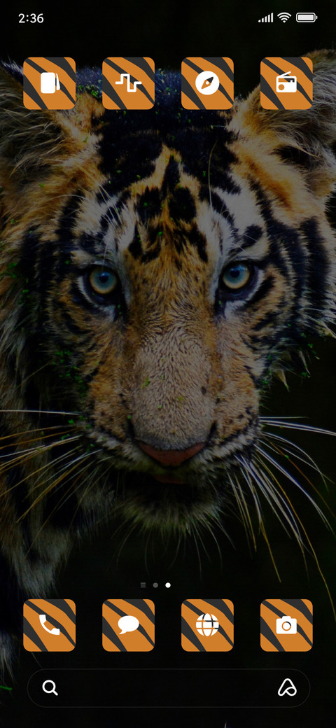 Tiger Face_3MDS screenshot