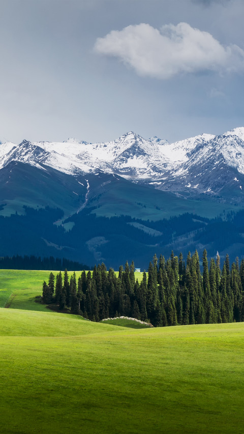 Spring Scenery of Kalajun Grassland in Yili, Xinjiang screenshot