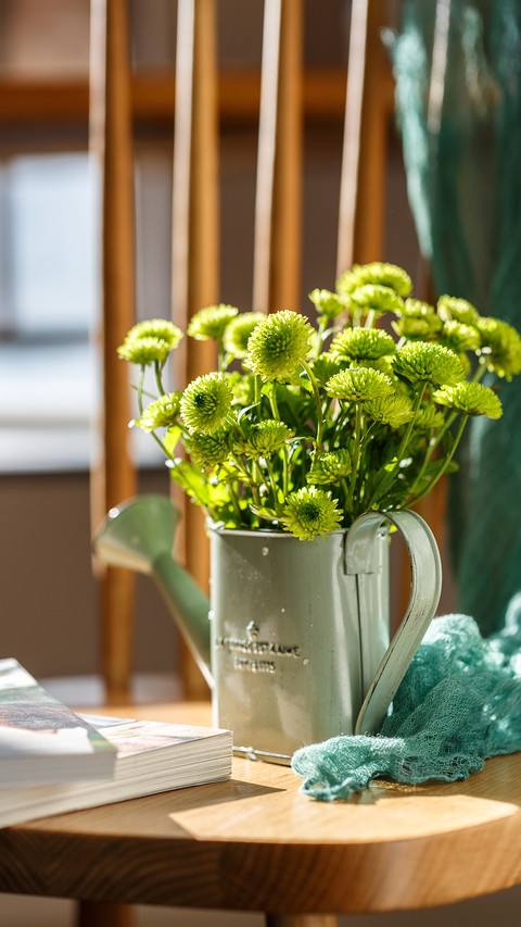 Daisy Flower Arrangement in the Sun screenshot