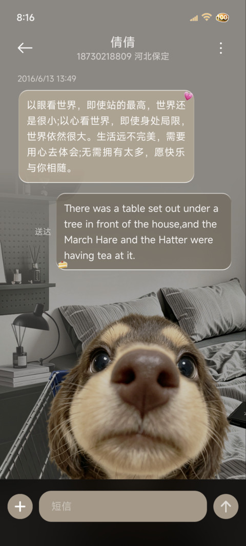 重力鱼眼hello小狗 screenshot