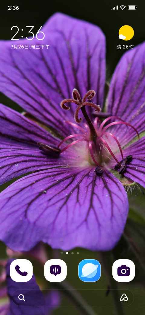 Mystic Bloom screenshot