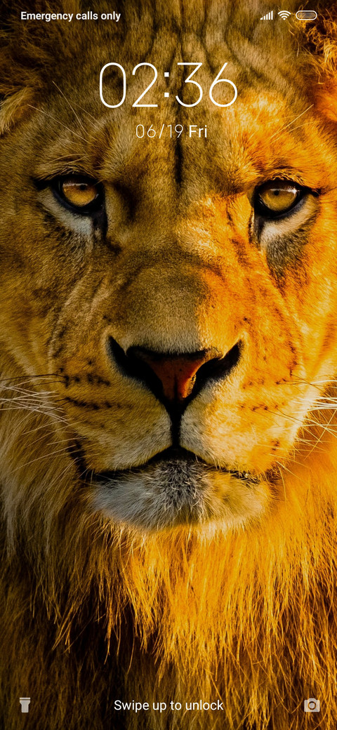 Lion_3MDS screenshot