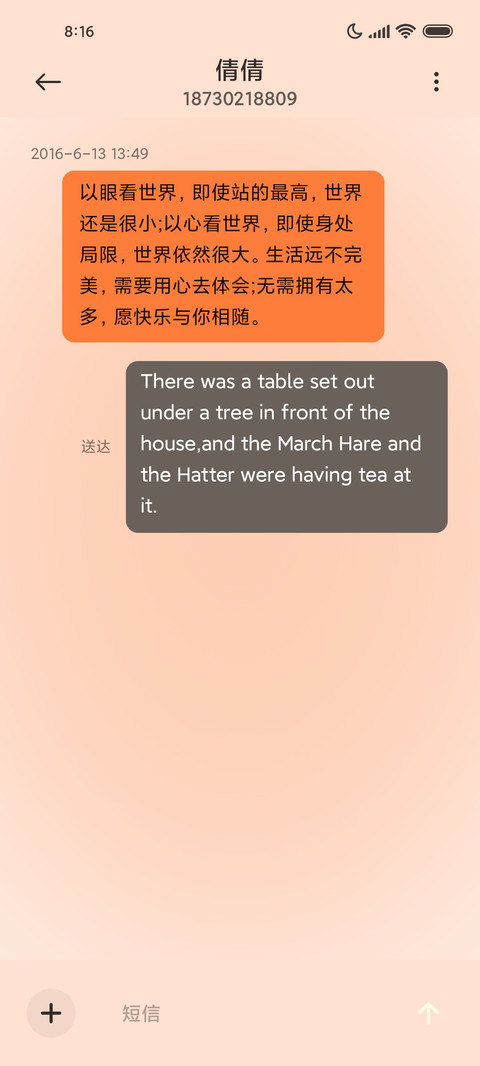 简约 橘色郁金香 screenshot