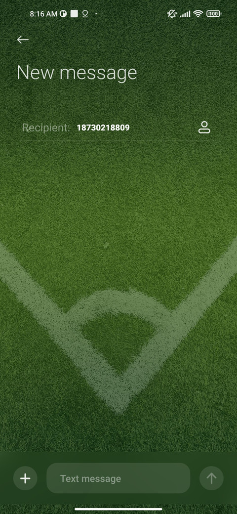 Football Dream screenshot