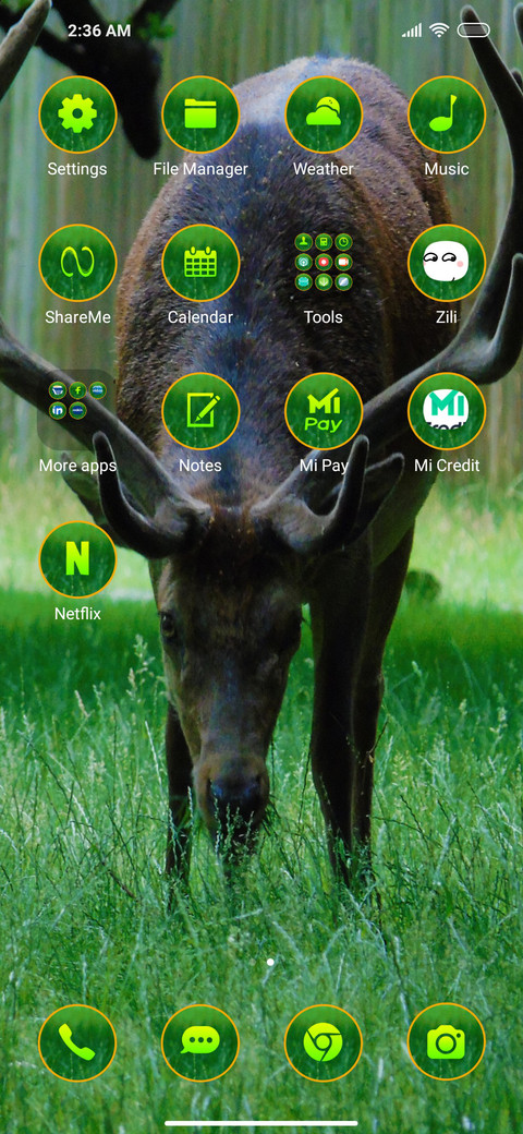 Wildlife four screenshot