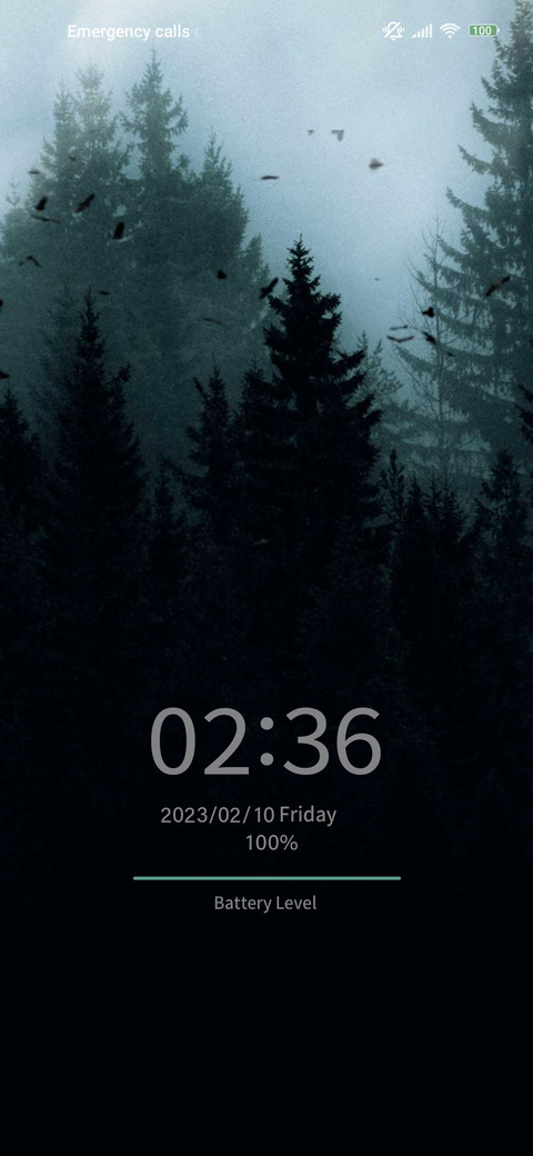 Fog forest screenshot