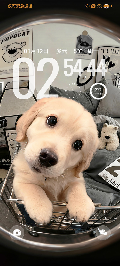3D小金毛 自定义 screenshot