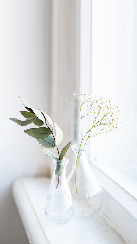 Two vases with dry branches on white windowsill screenshot