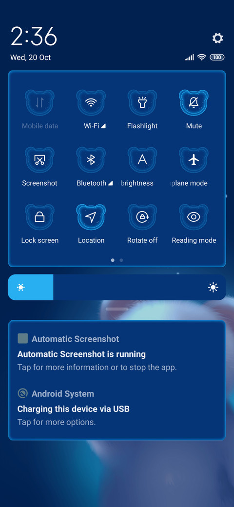  starry sky bear screenshot