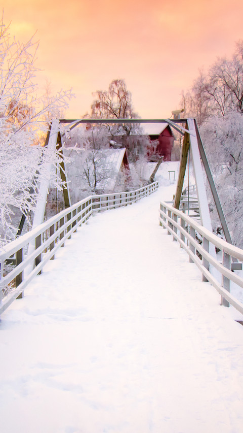 International-frozen screenshot