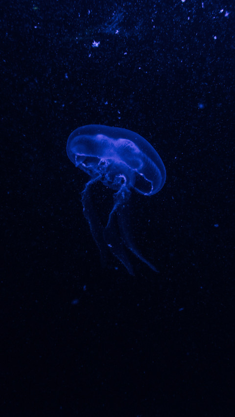 133988_1440x2560.jpg screenshot