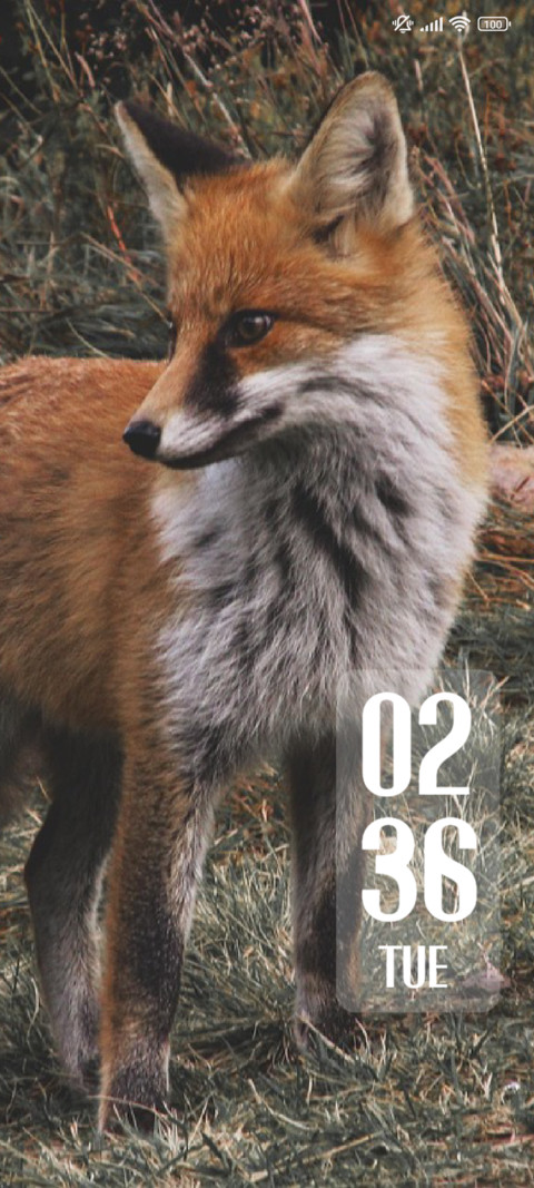 Fox Wild screenshot