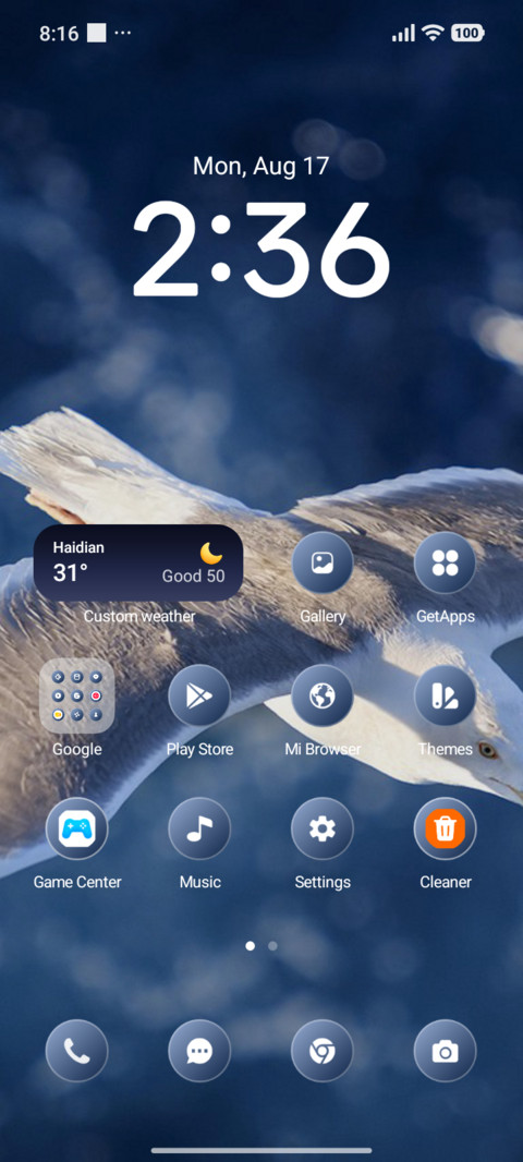 Snow Gull screenshot