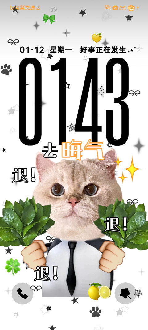 好运 高雅可爱小猫 screenshot