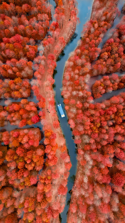 Autumn water forest is now available 2 screenshot