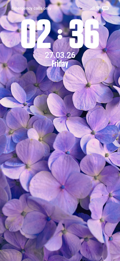 Petal screenshot
