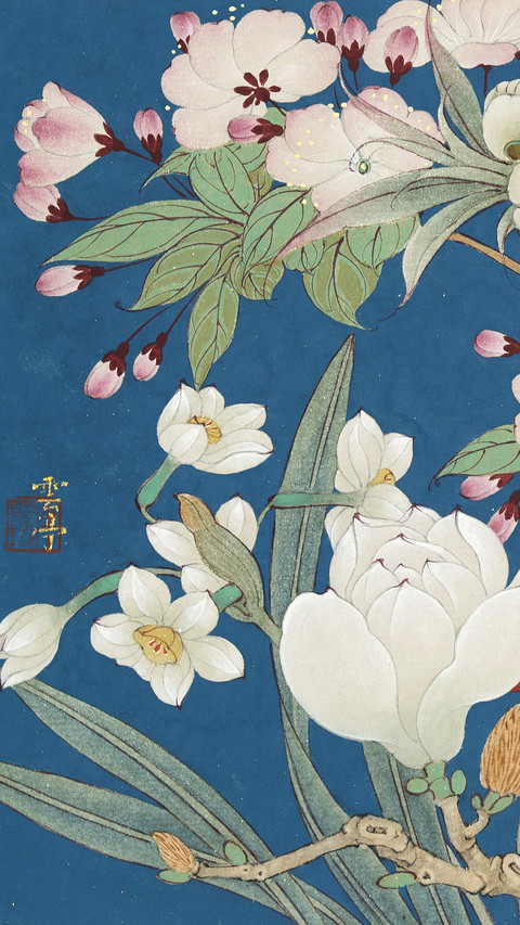 春卉骈芳 screenshot