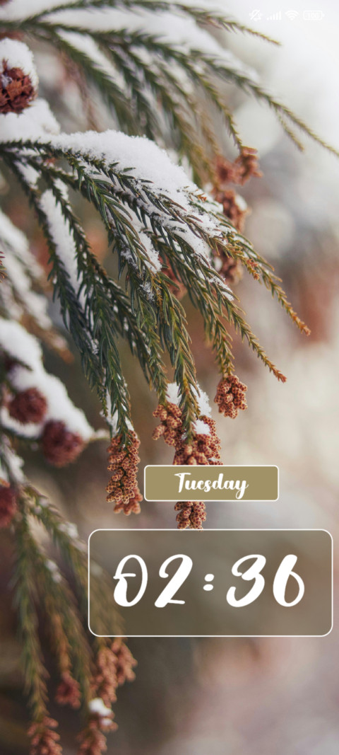Pine tree screenshot