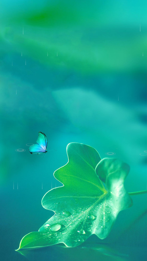 护眼 screenshot