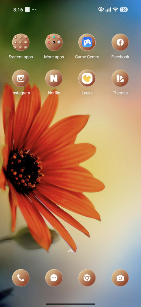 Flower screenshot
