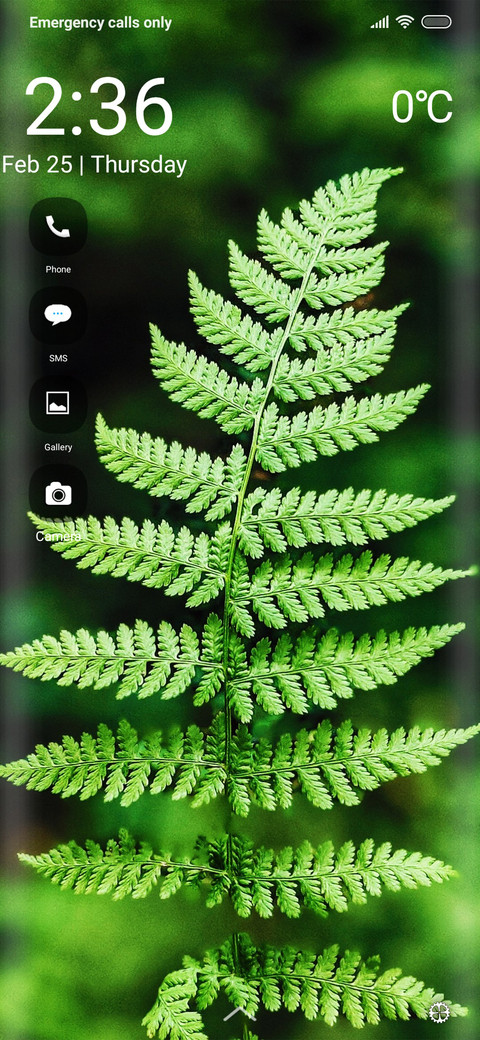 Plants tri screenshot