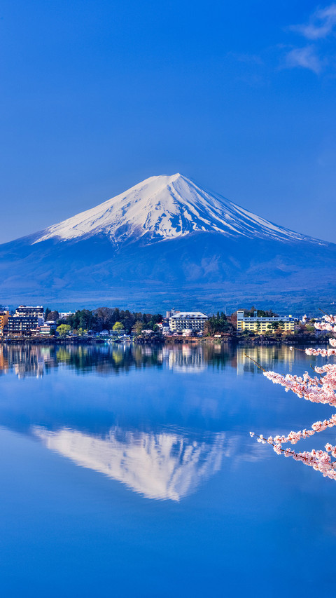 Lake Kawaguchiko with Mt. Fuji and blooming cherry blossoms screenshot