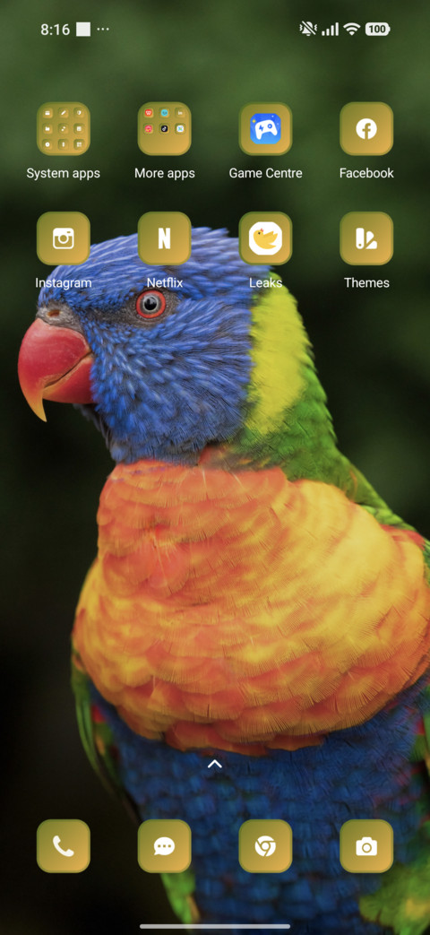 Colourful parrot screenshot