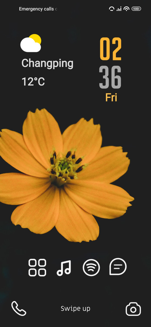 Morning Flower screenshot