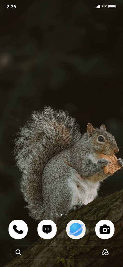 Nut Whisper screenshot