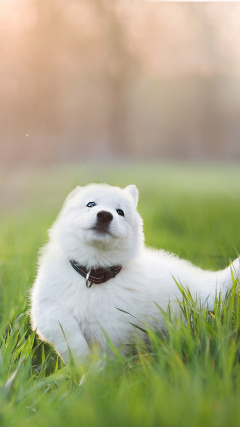 Land Cloud Samoye 1 screenshot