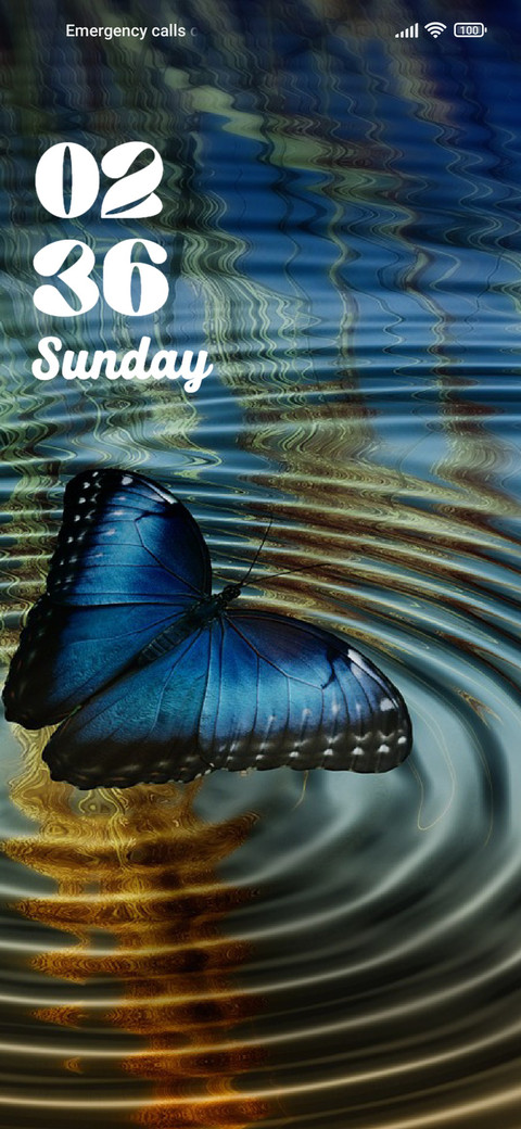Butterfly screenshot